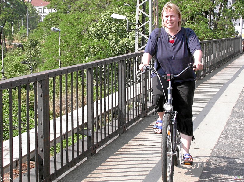 Bahn 238.jpg - Der Fuß- und Radweg stadtauswärts.